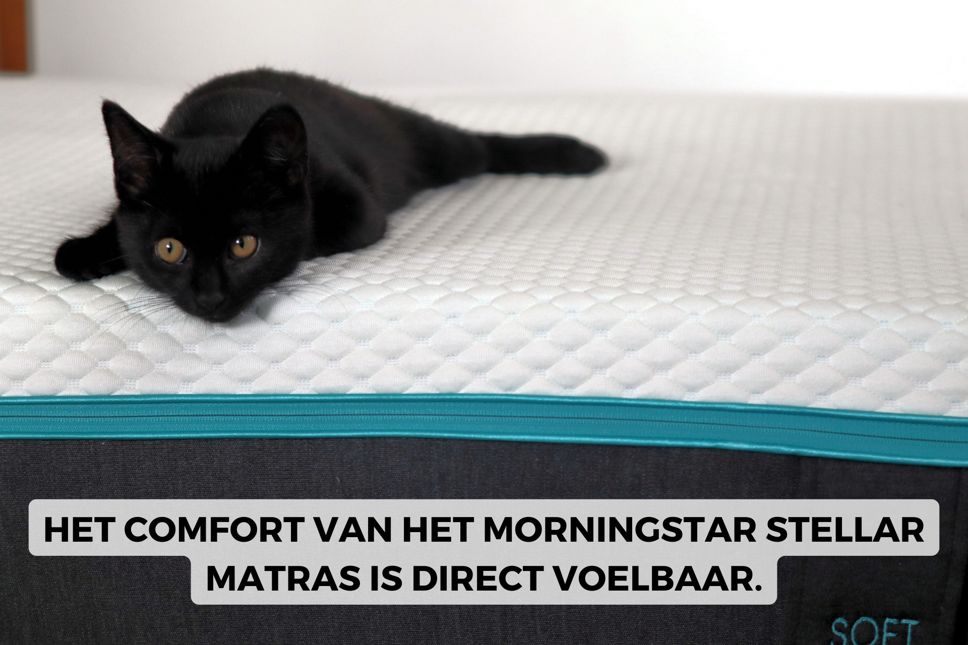 kat op morningstar matras